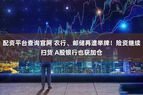 配资平台查询官网 农行、邮储再遭举牌！险资继续扫货 A股银行也获加仓