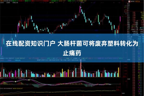 在线配资知识门户 大肠杆菌可将废弃塑料转化为止痛药